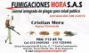 Foto de Fumigaciones Mora S.A.S